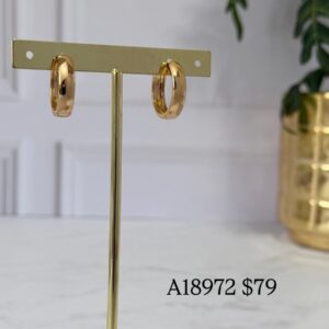 A18972 ARRACADA LISA 18K