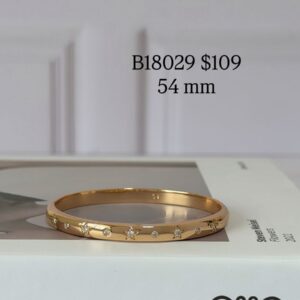 B18029 BRAZALETE CON BRILLOS 54MM 18K